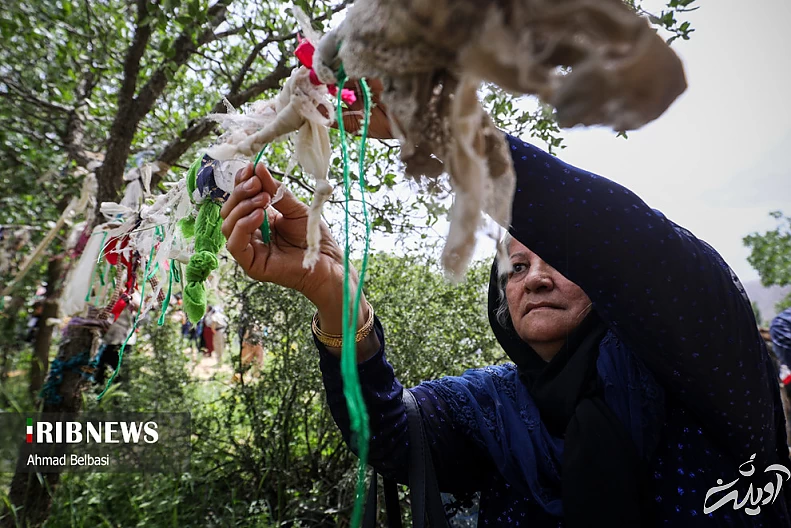 (تصاویر) مراسم آیینی کومسای در هورامان کردستان